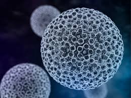 Imagem do biologia molecular