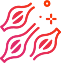 Icon biologia molecular