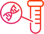 Icon hibridização